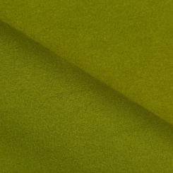 Zara green 29